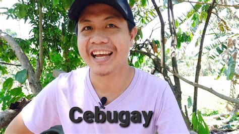 'zamboanga sibugay scandal' Search .